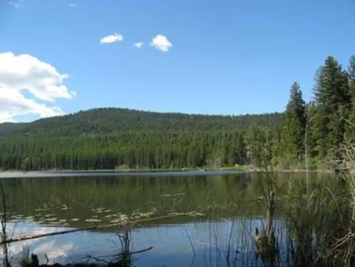 LOST LAKE GROUP UNIT photo 2