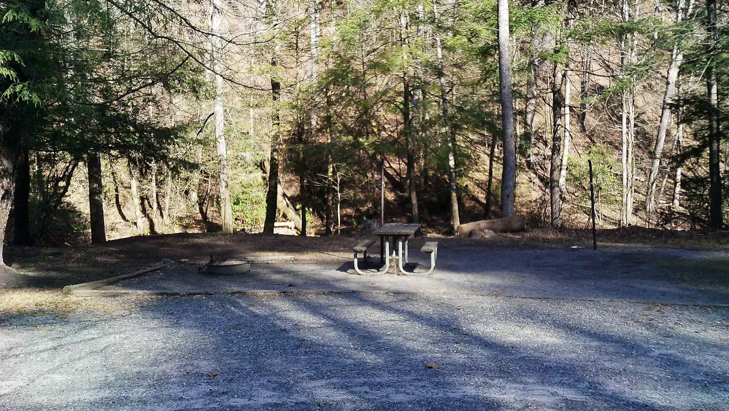 Low Gap Campground photo