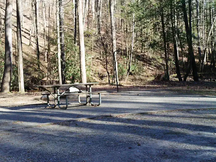 Low Gap Campground photo 4