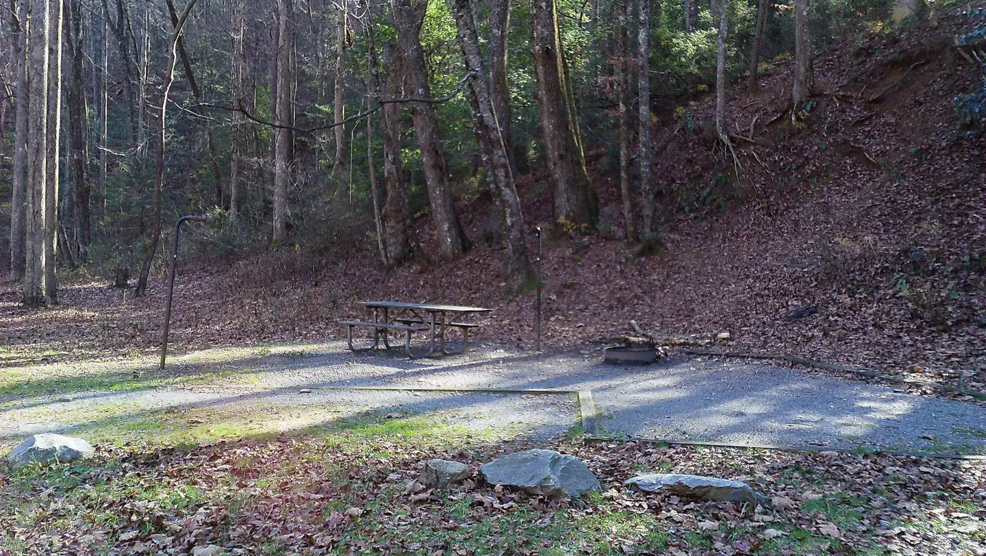 Low Gap Campground photo 5