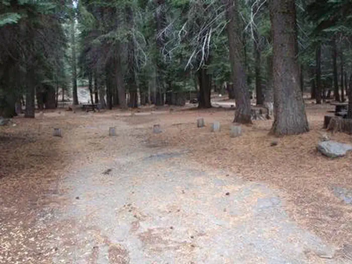 LOWER BILLY CREEK photo 4