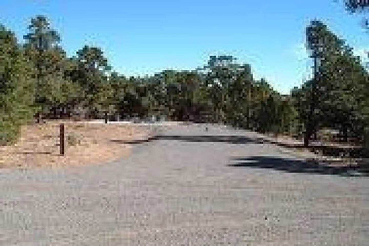 LOWER BOWNS photo 3