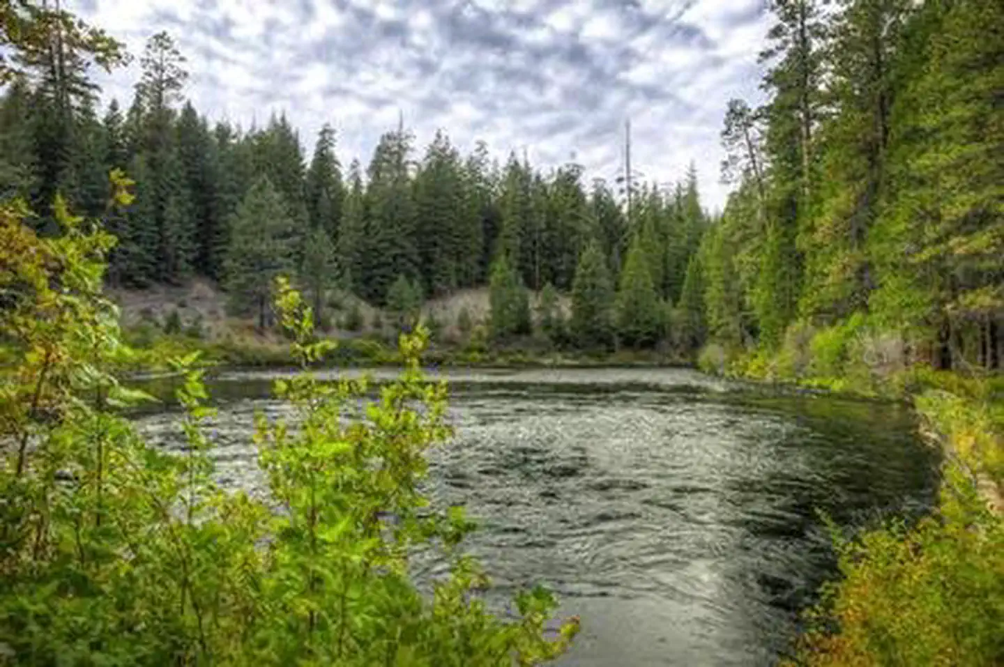 LOWER BRIDGE CAMPGROUND photo