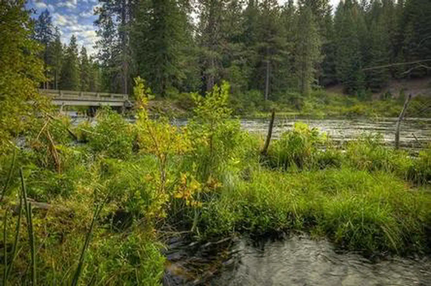 LOWER BRIDGE CAMPGROUND photo 2