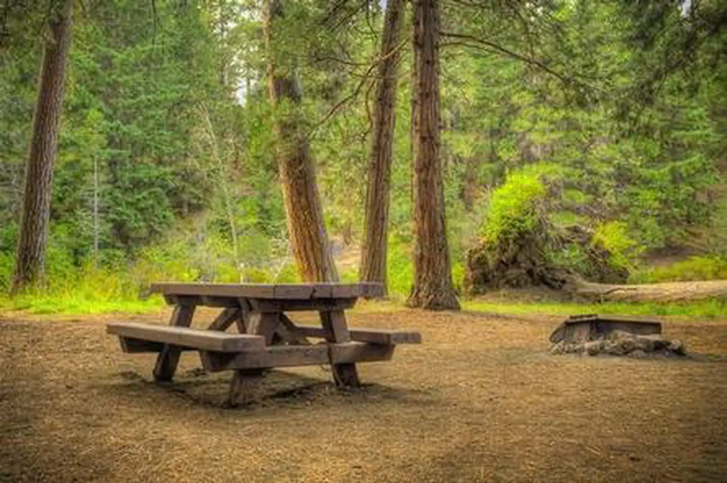 LOWER BRIDGE CAMPGROUND photo 3