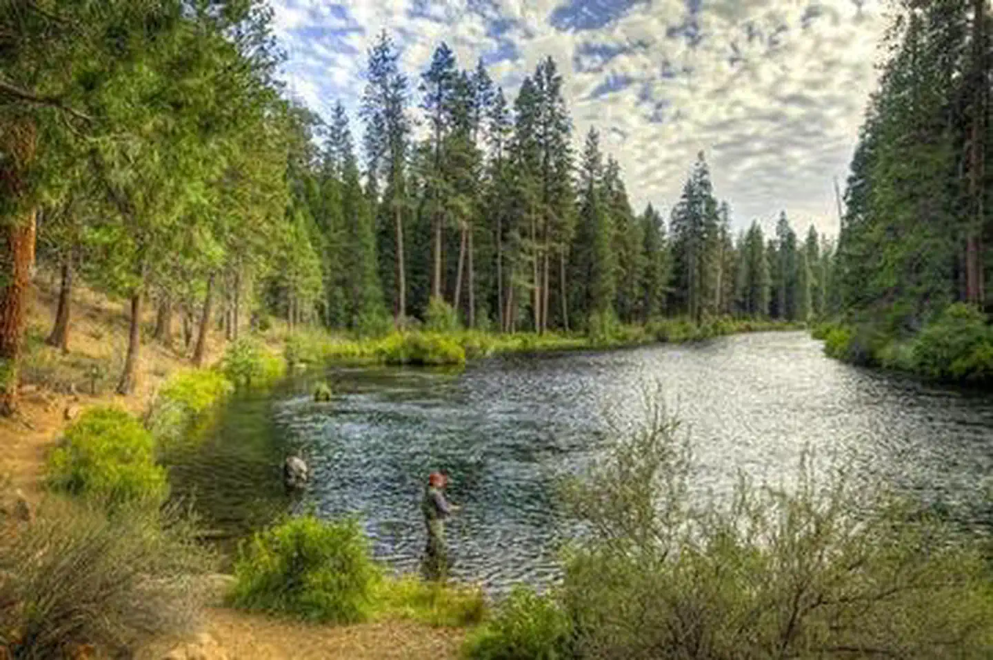 LOWER BRIDGE CAMPGROUND photo 5