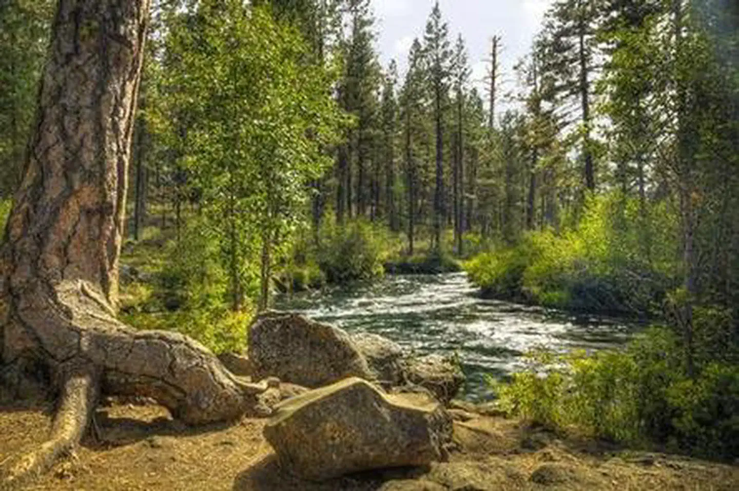 LOWER CANYON CREEK CAMPGROUND photo