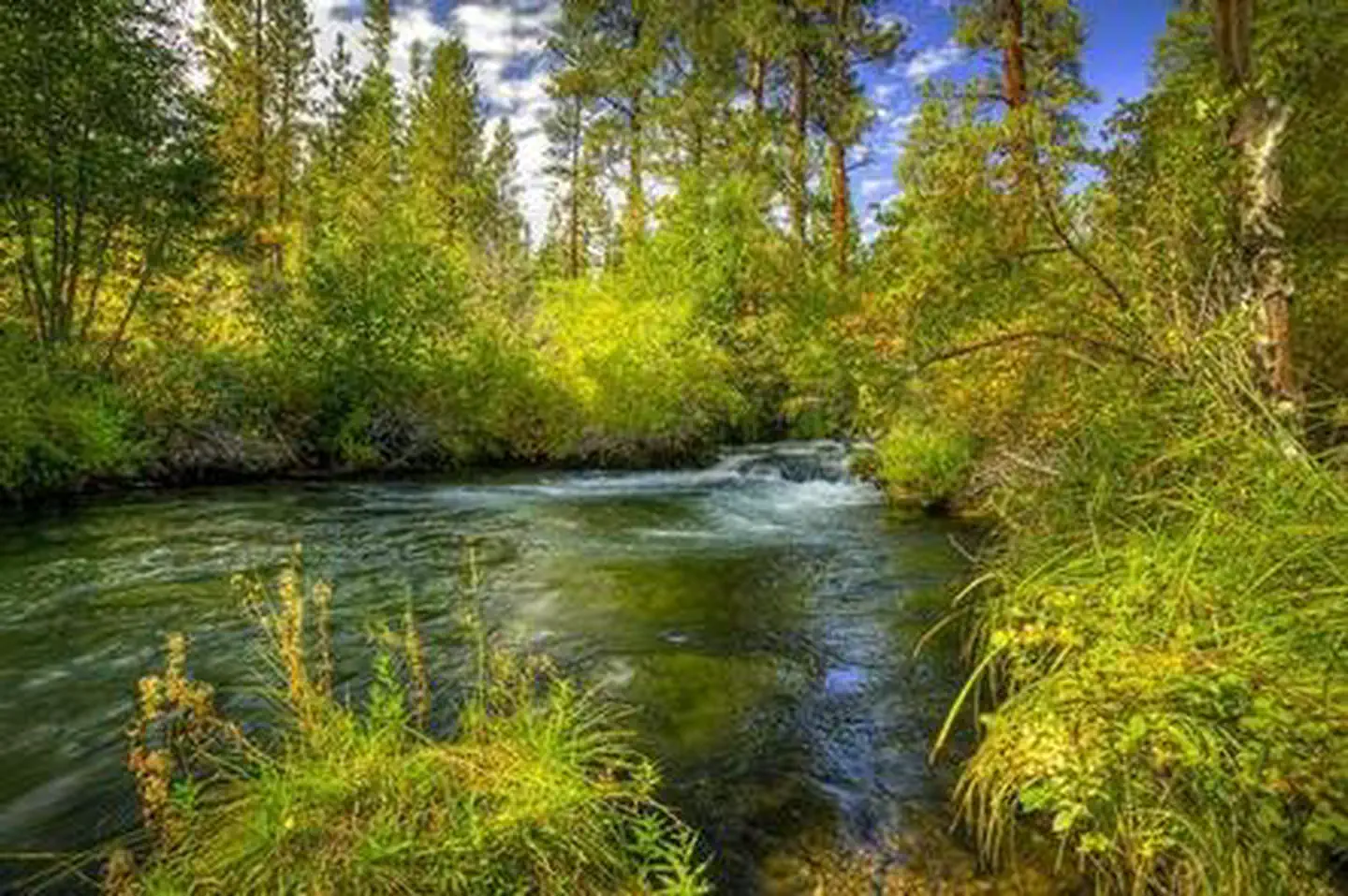 LOWER CANYON CREEK CAMPGROUND photo 3