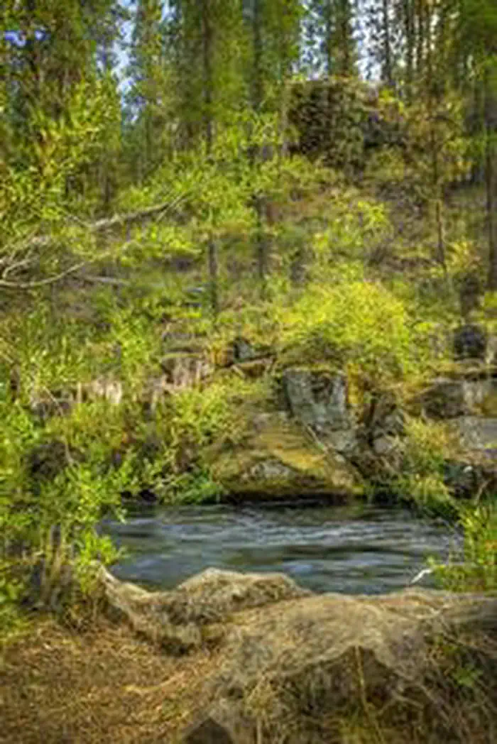 LOWER CANYON CREEK CAMPGROUND photo 4