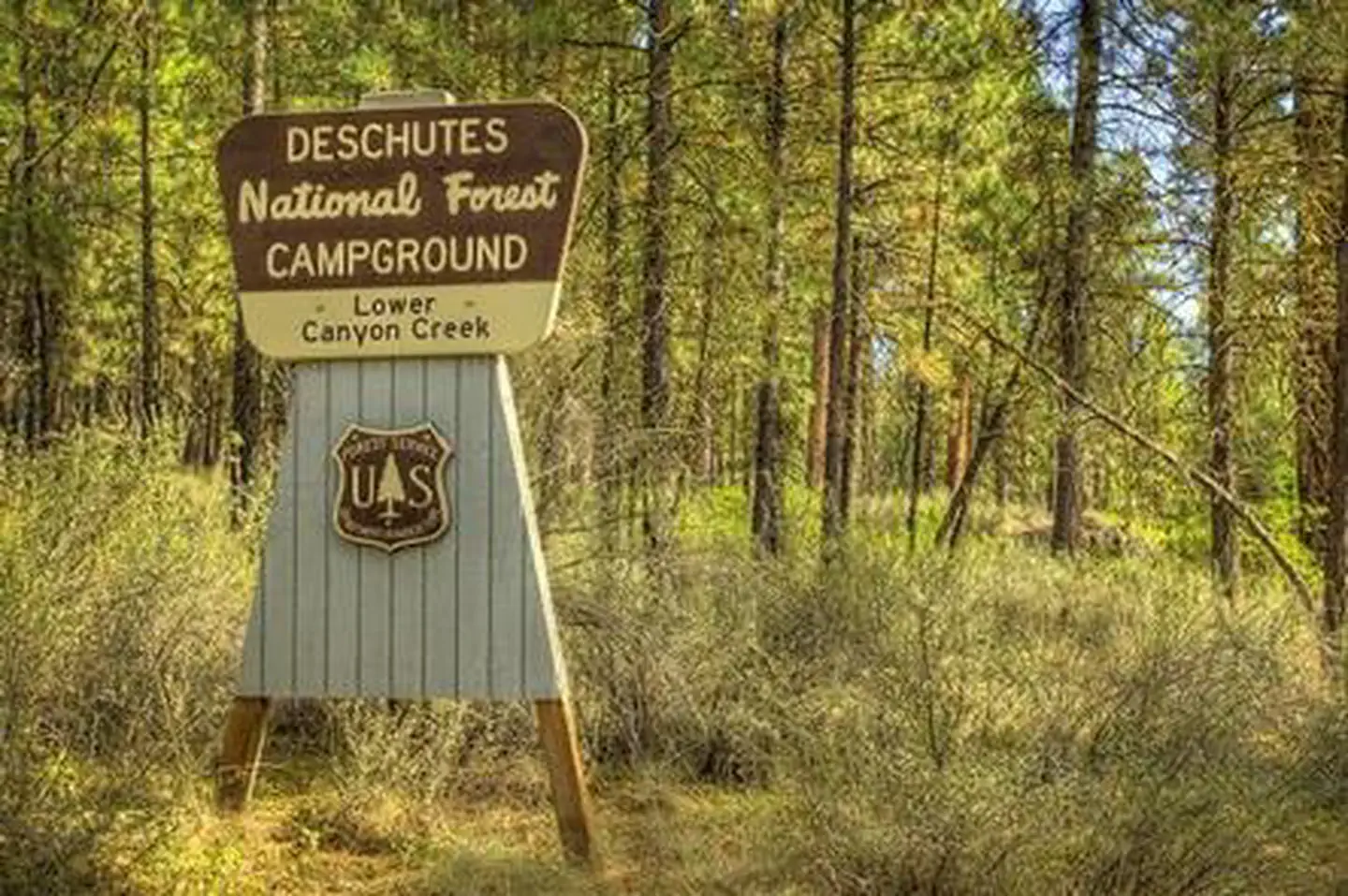 LOWER CANYON CREEK CAMPGROUND photo 5
