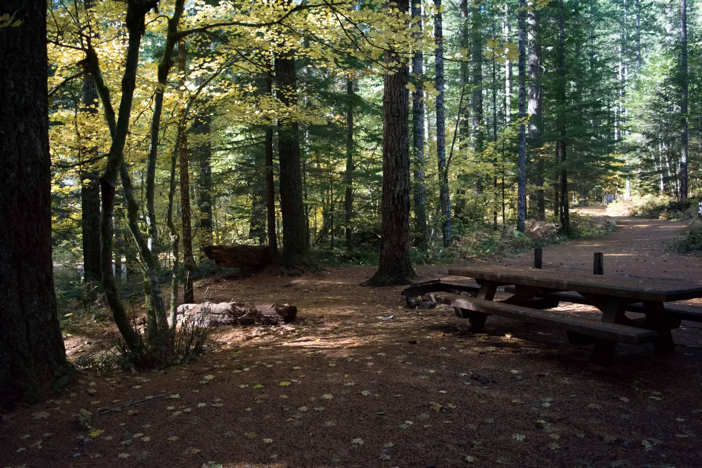 LOWER FALLS CAMPGROUND photo 3