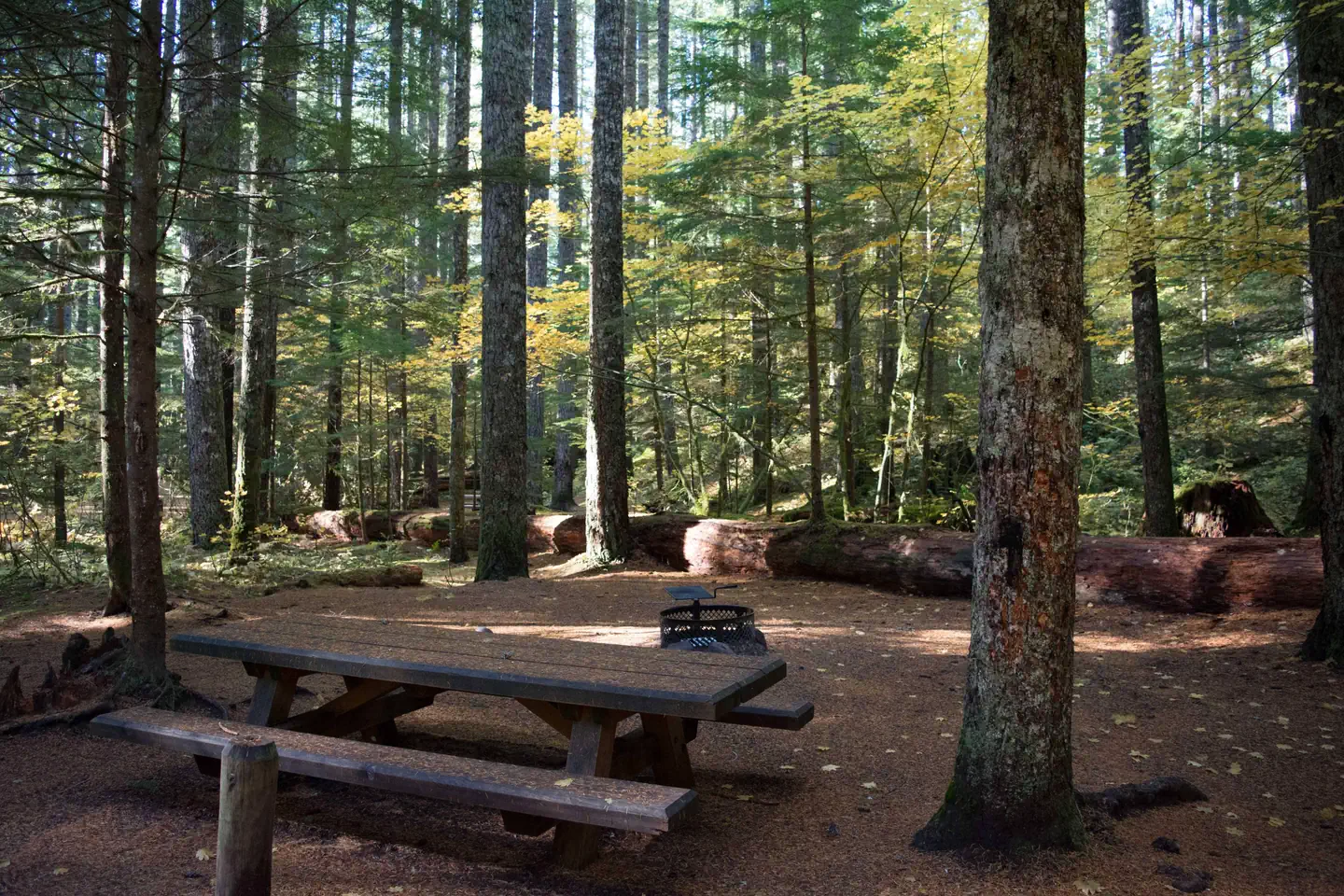 LOWER FALLS CAMPGROUND photo 4