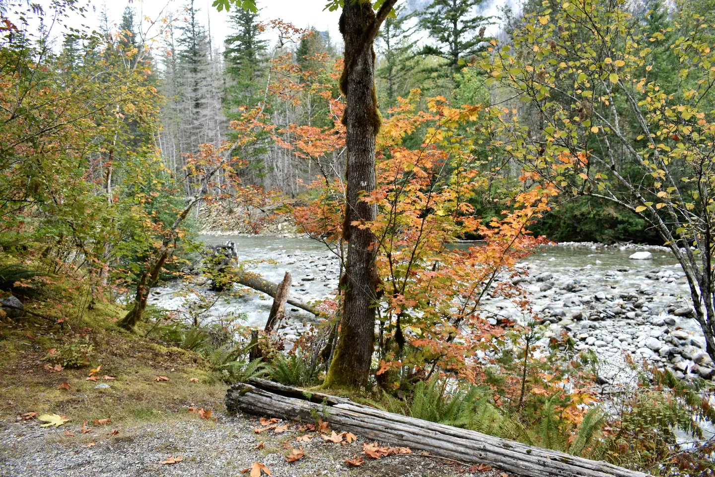 LOWER GOODELL GROUP CAMPGROUND photo 3