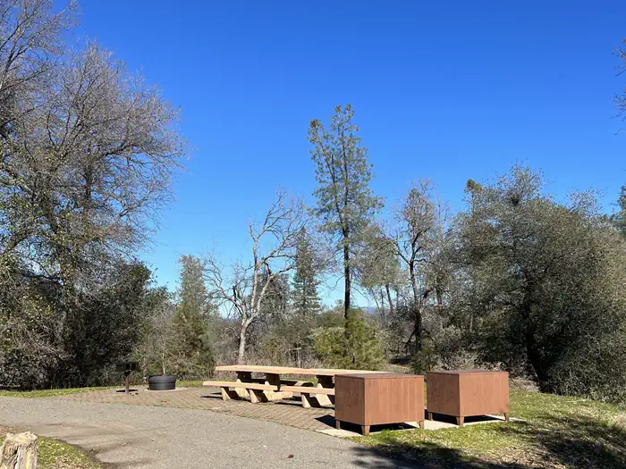 Lower Jones Valley (CA) photo 3