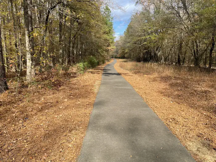 Lower Lake Recreation Area photo 2