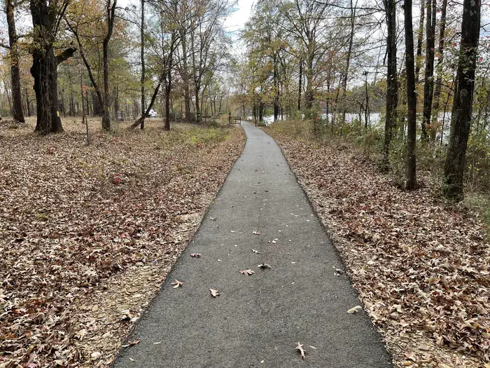 Lower Lake Recreation Area photo 5