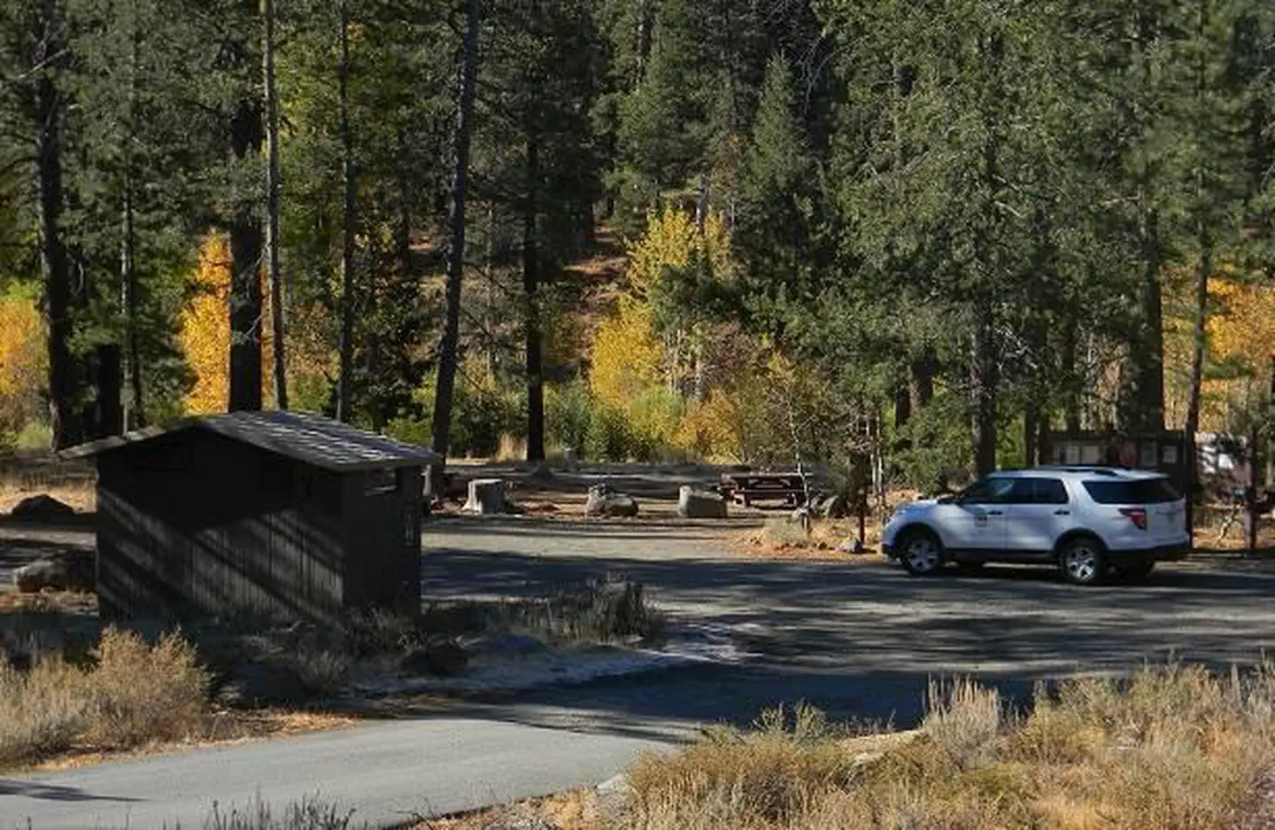 LOWER LITTLE TRUCKEE photo