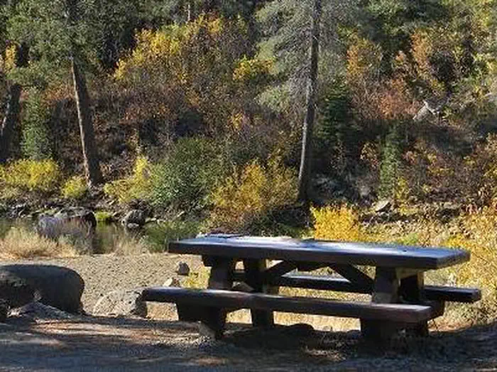 LOWER LITTLE TRUCKEE photo 3