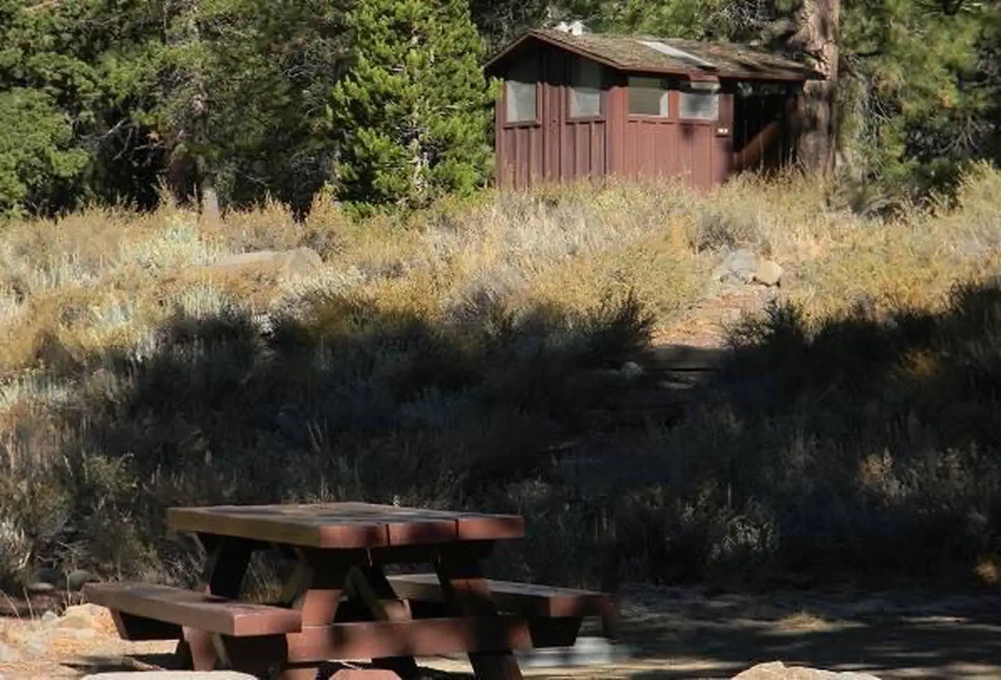 LOWER LITTLE TRUCKEE photo 4