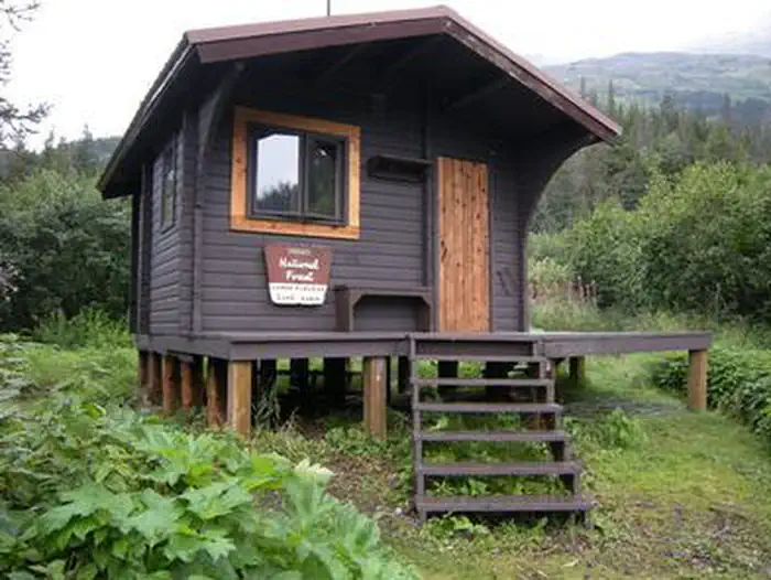 LOWER PARADISE LAKE CABIN photo 3