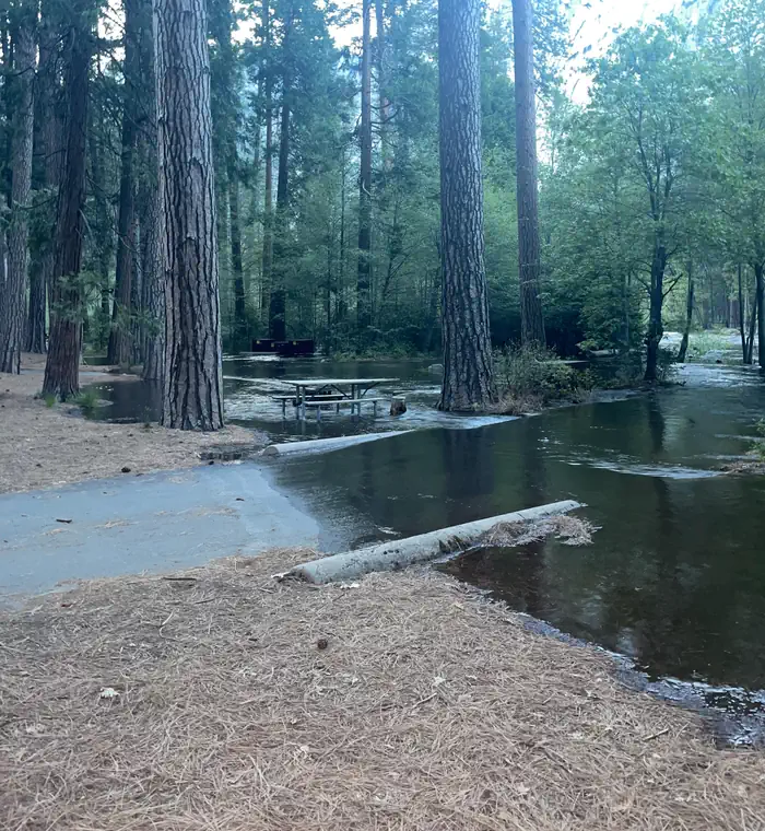 Lower Pines Campground photo 5