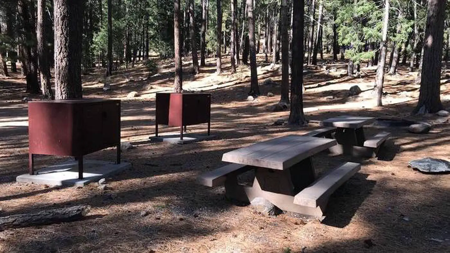 LOWER TWILIGHT GROUP SITE photo