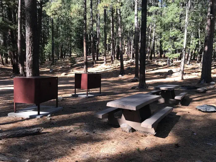 LOWER TWILIGHT GROUP SITE photo 2