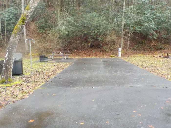LOWER TWIN CAMPGROUND (VA) photo 2