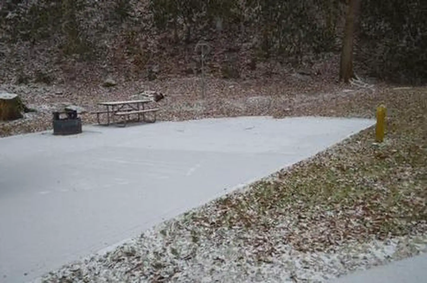 LOWER TWIN CAMPGROUND (VA) photo 3
