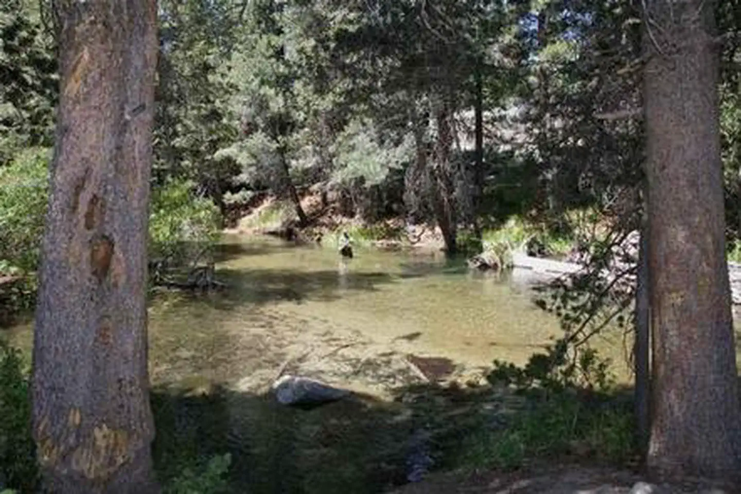 LOWER TWIN LAKES AT BRIDGEPORT photo
