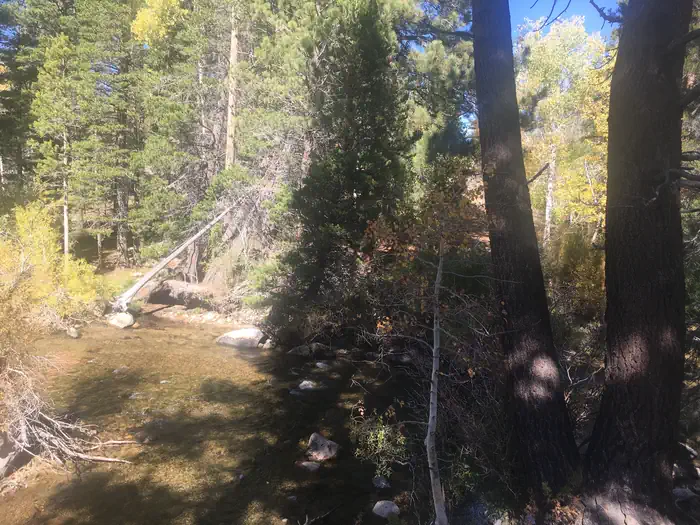 LOWER TWIN LAKES AT BRIDGEPORT photo 3