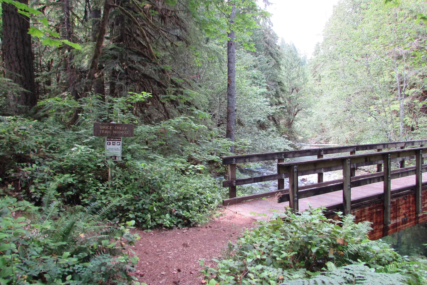 Lund Park Campground photo 3