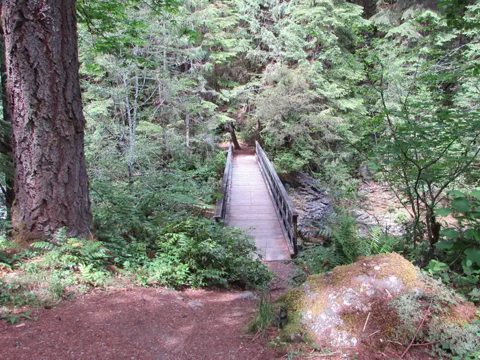 Lund Park Campground photo 4