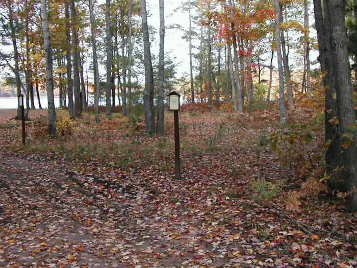 Lyman Lake Campsites photo 3