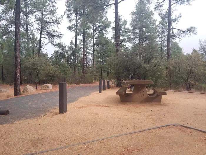 LYNX CAMPGROUND photo 3