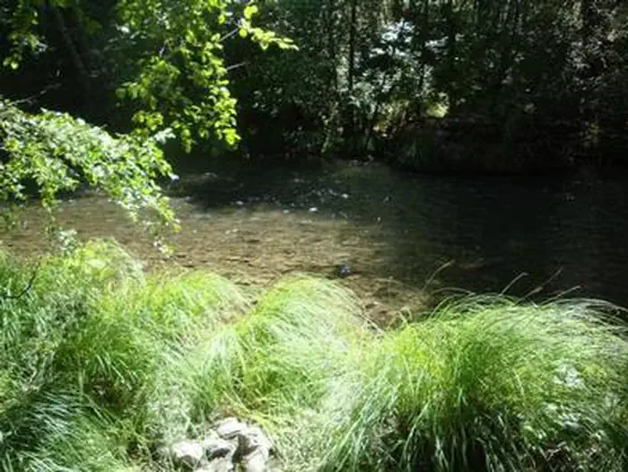 MAD RIVER CAMPGROUND photo