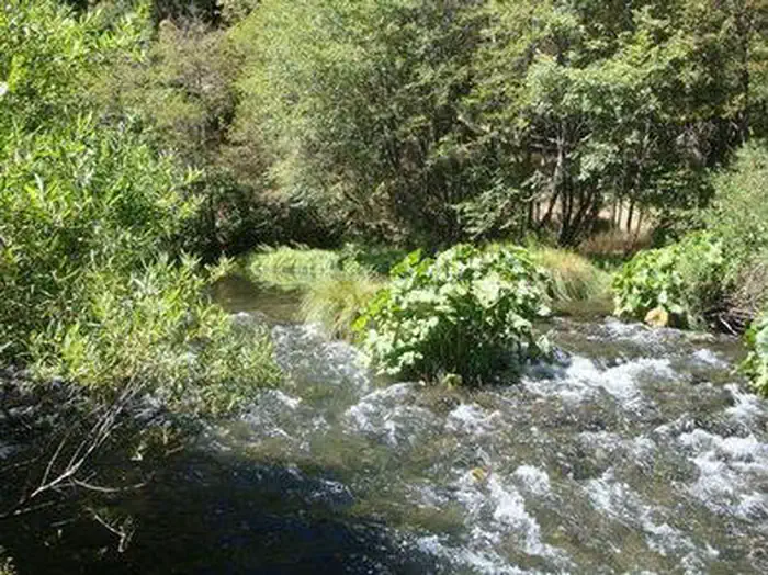 MAD RIVER CAMPGROUND photo 3