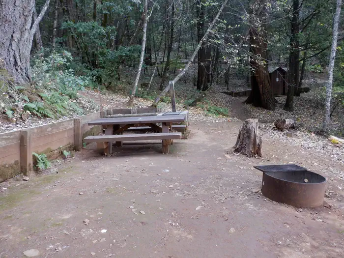 Madrone Cove Boat-in Campground photo 2