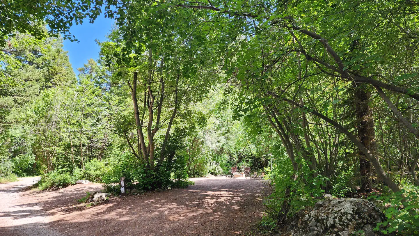 MALAD SUMMIT CAMPGROUND photo 4