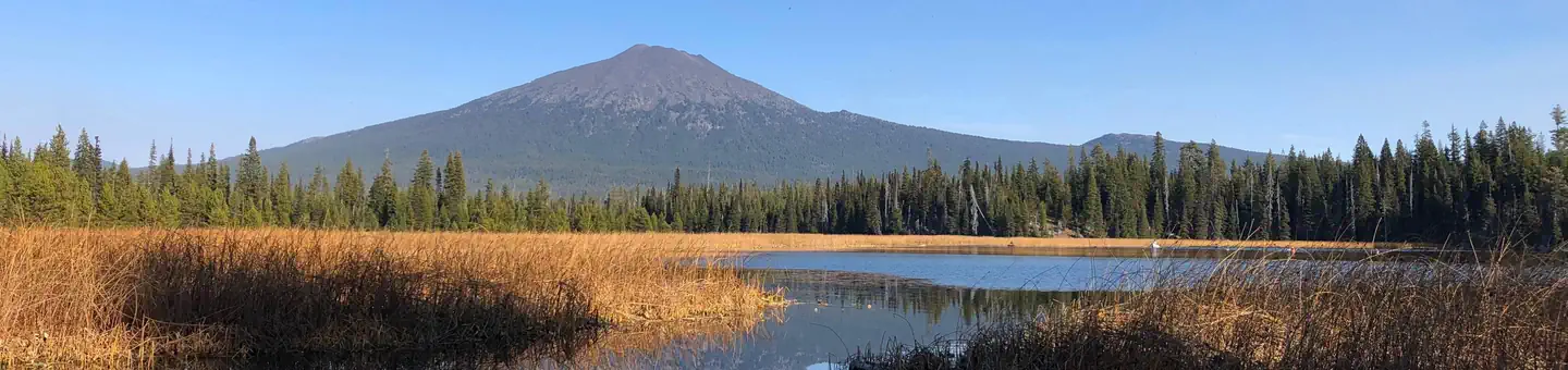 MALLARD MARSH CAMPGROUND photo
