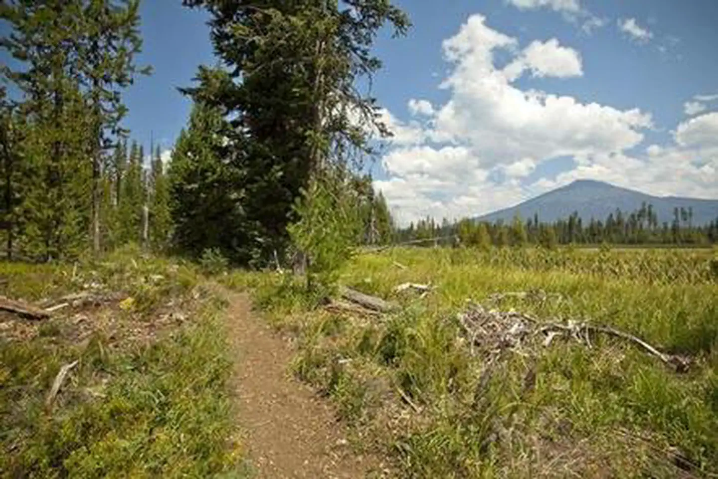 MALLARD MARSH CAMPGROUND photo 5