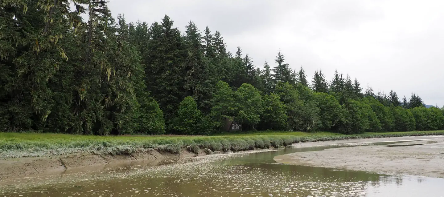 MALLARD SLOUGH CABIN photo