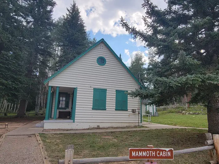 MAMMOTH CABIN photo 2