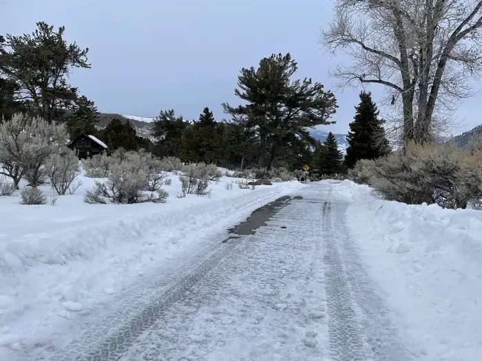 Mammoth Campground (Yellowstone) photo 3