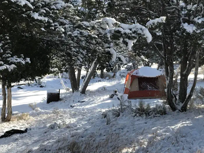 Mammoth Campground (Yellowstone) photo 5