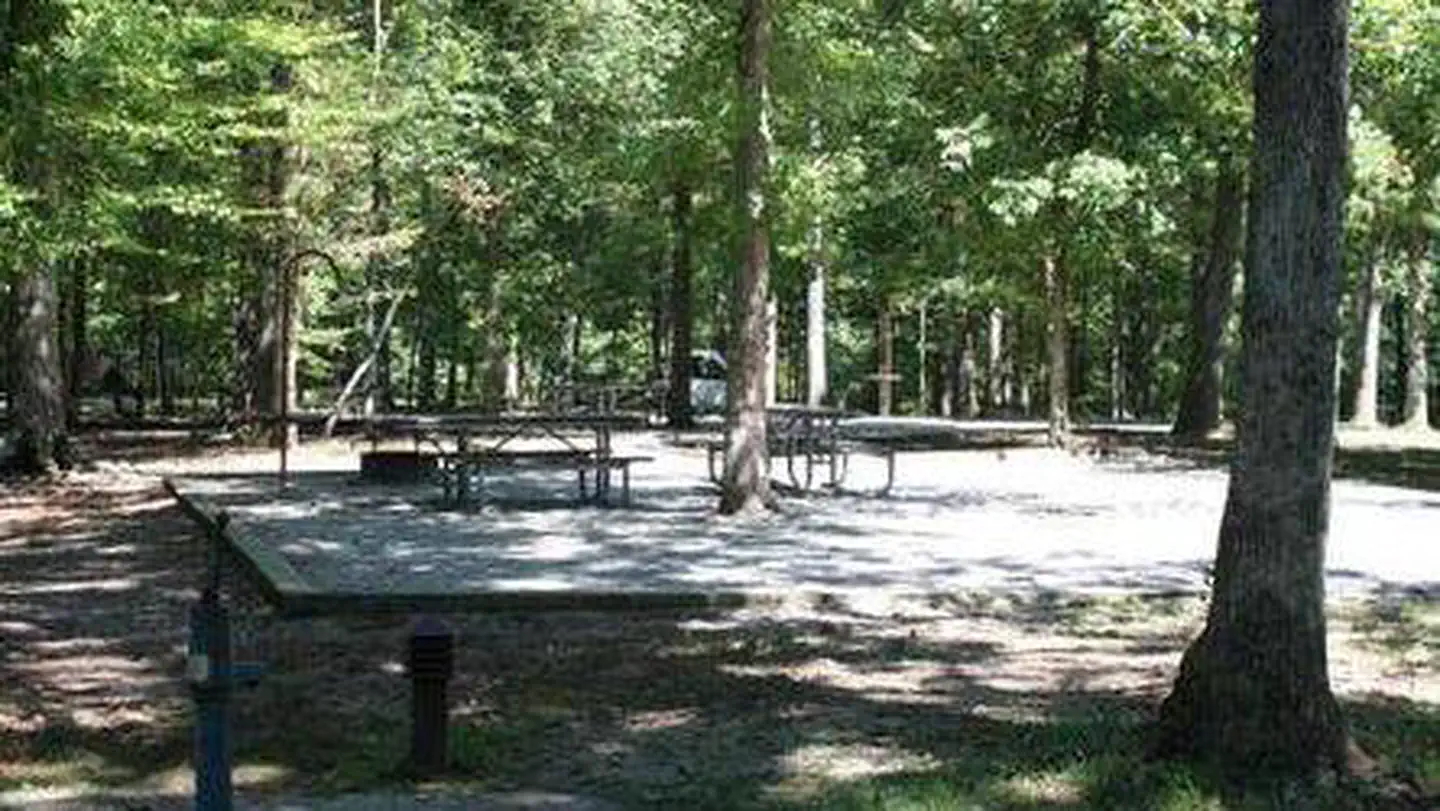MAMMOTH CAVE CAMPGROUND photo