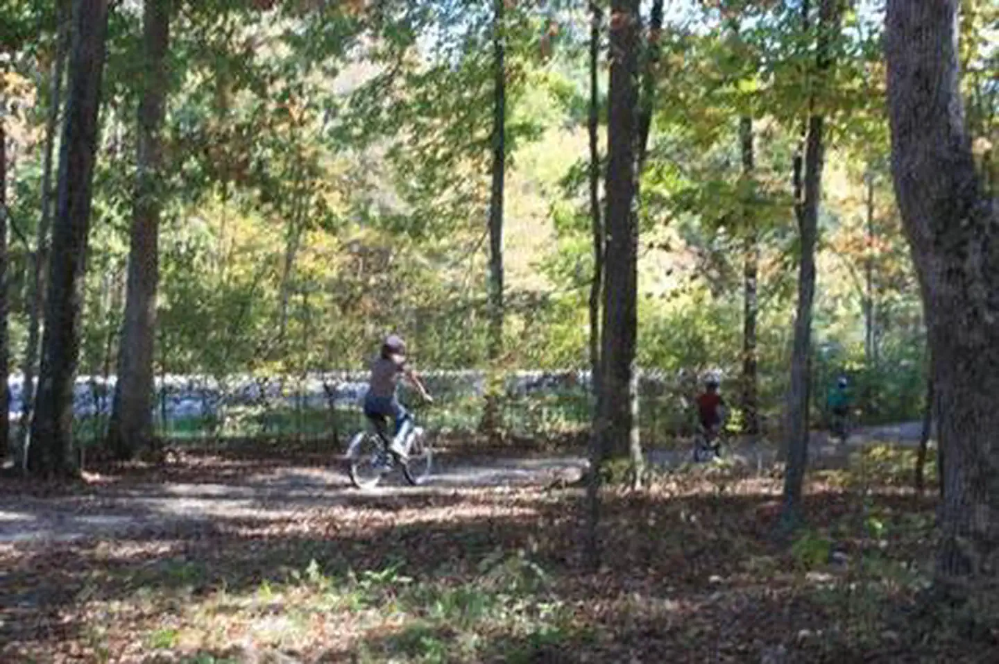 MAMMOTH CAVE CAMPGROUND photo 2