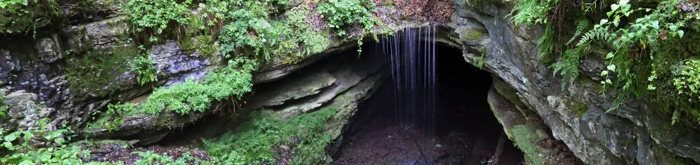 MAMMOTH CAVE NATIONAL PARK TOURS photo