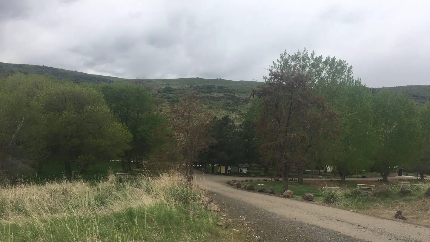 MANN CREEK CAMPGROUND photo