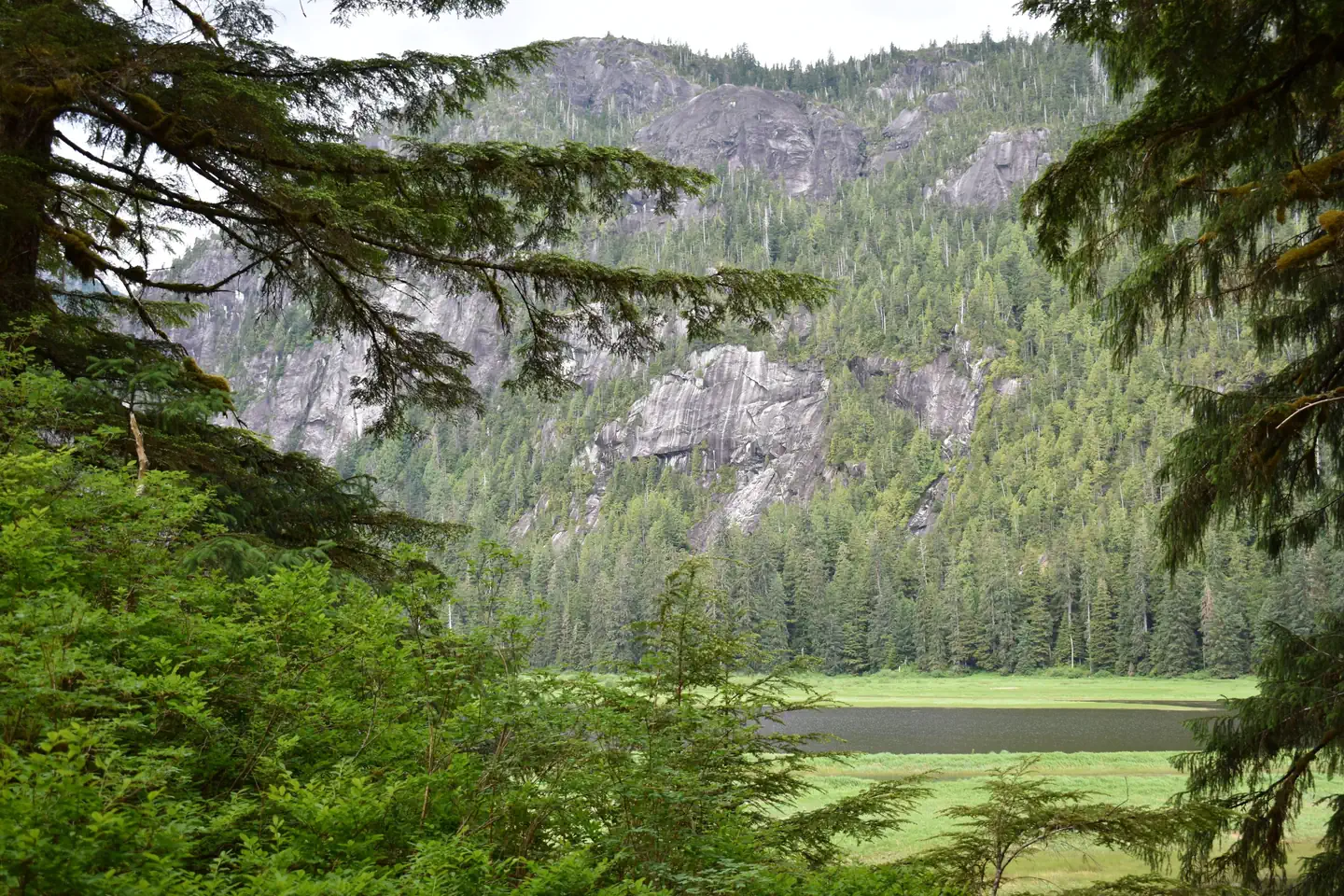 MANZANITA LAKE CABIN photo 5